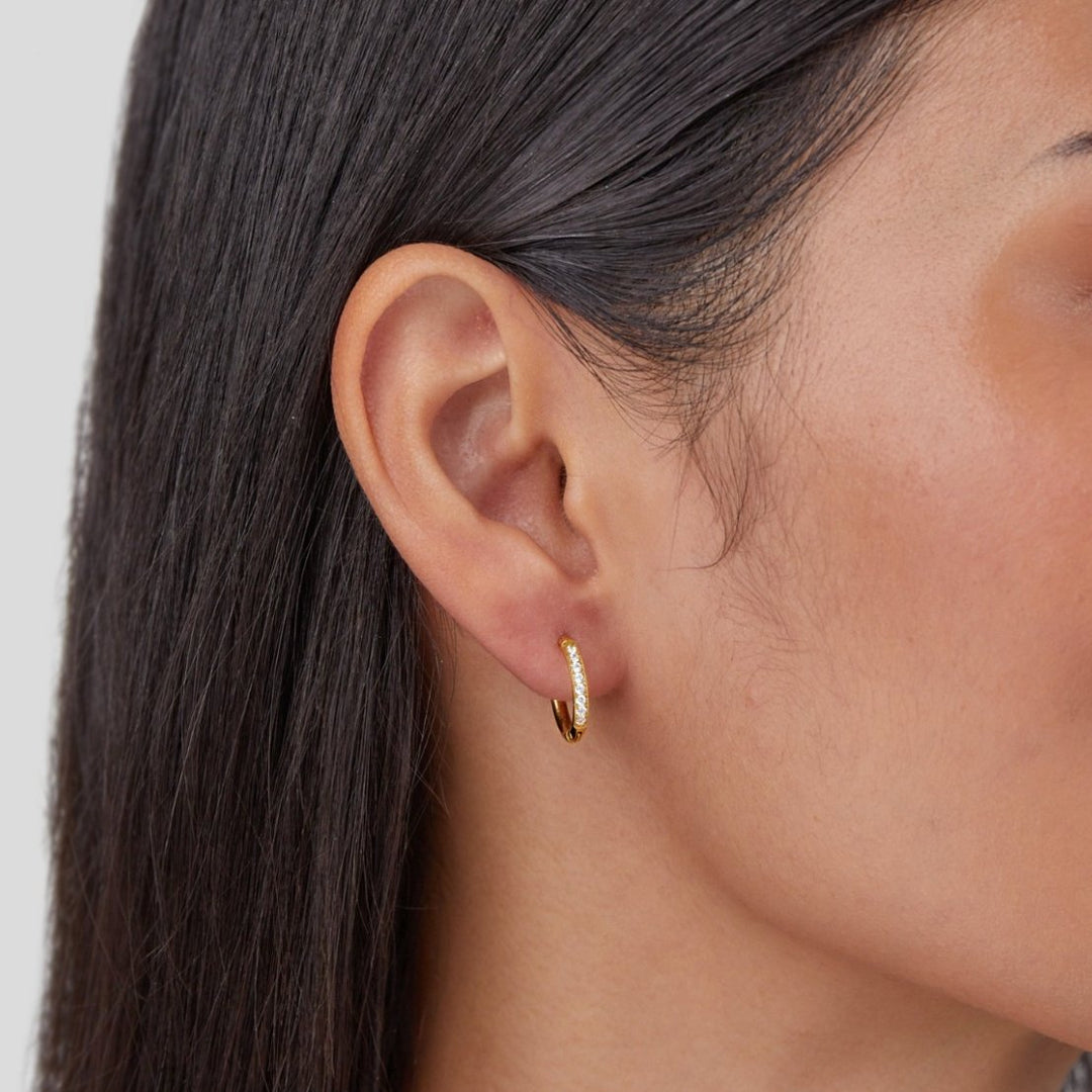Timeless Hoop Earrings