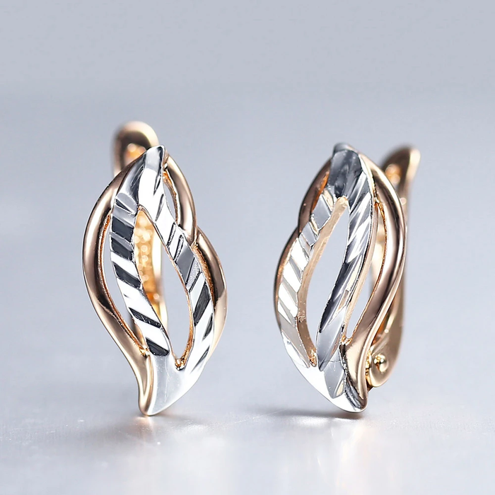 Chic Gold and Silver Earrings